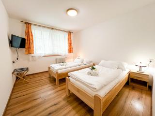 Hotel Horník - Saar - 8