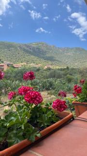 La quercia - - 0