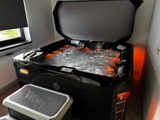 Casa Artemis-jacuzzi și piscină - Pianu de Sus - 9