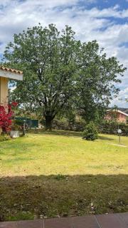 La quercia - - 4