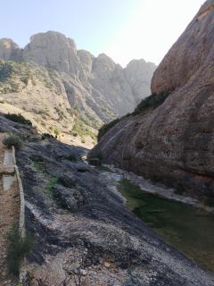 Mas de Manresa - Horta de Sant Joan - 1