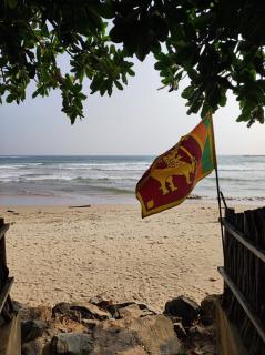 Balance Beach Resort - Dickwella - 7