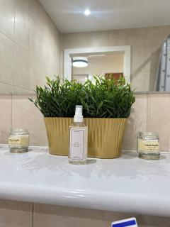 Luxury Arcadian Suite - Birmingham - 5