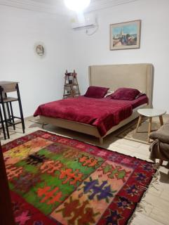 Modern Oasis S0 - Rare stylish apartment - Tunisi - 5