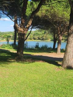 Studio Golf&Plage Chiberta - Anglet - 7