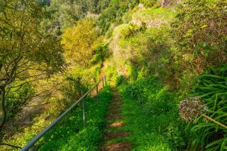 Vienna apartment Alpine escape villa - 1