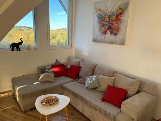Apartman Senka 2 - Divčibare - 2