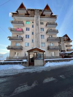 Mambas apartment in Gudauri near Smart supermarket - 5