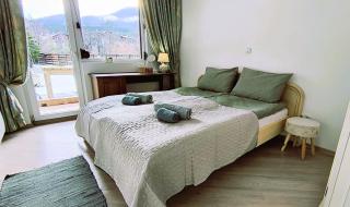 Cosy 2-bedroom apartment near the ski road Bansko - Bansko - 9