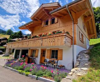 Large deluxe studio for 2 - Chalet Lovo - Lenk - 1