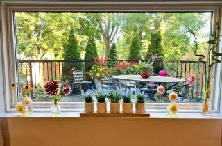 Garden-view Studio with king bed, Free parking, 3kms to UTM - Mississauga - 6