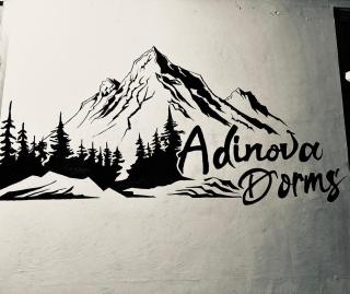Hotel Adinova - Kasol - 2