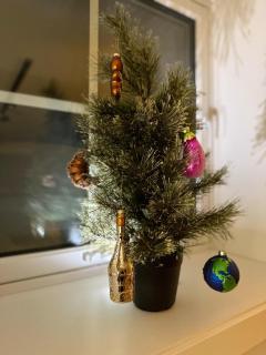 Central Apartment in Down Town Aurora villa - 4