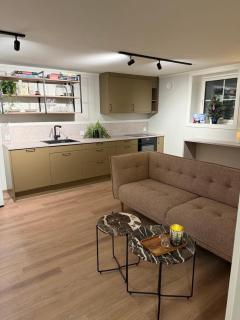 Central Apartment in Down Town Aurora villa - 3