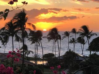 Wailea Oceanfront Rental - Wailea - 0