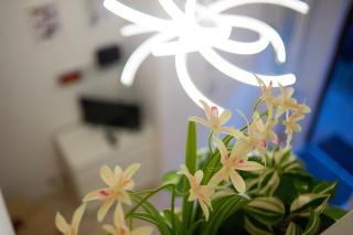 Isola Brera Duomo - Antica Atmosfera - lovable cozy apartment - Milan - 3