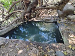 הבקתה בנחלה -אבני איתן - 3