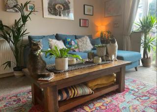 Cosy homey - Blackrock - 2