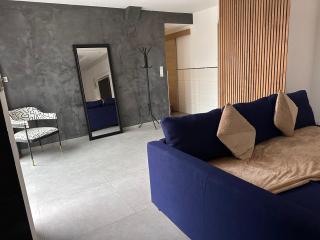Grand logement proche Colmar au calme parking wifi - Wintzenheim - 9