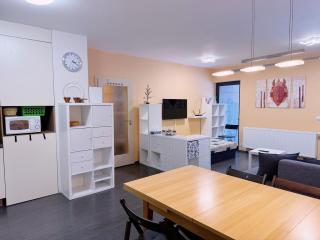 Mountain apartment Klinovec Hexagon B14 - Loučná pod Klínovcem - 7