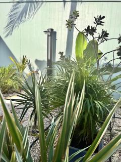 'Blue Vibe' Charming 1-bedroom apartment with exotic Bali Natural Bathtub - 8