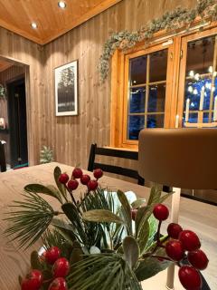 Trysil Moderna Lodge - 5