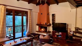 Del Mountain Chalet Arachova - Arachova - 8