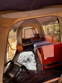 Porcupine Cabin - Palapye - 3
