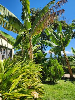 Eco hotel Torino - 1