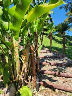 Eco hotel Torino - 3