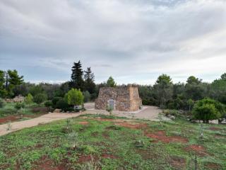 BADIA SAN MICHELE Pajara Aida - Tuglie - 5