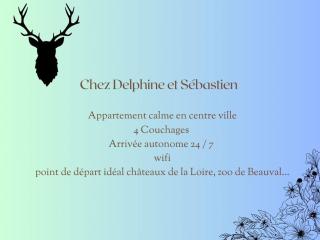 Chez Delphine et Sébastien - Romorantin - 0