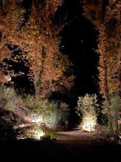 Ecogîte Lalalandes Aveyron - Les Bouygues - 8