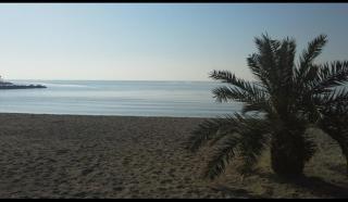 Sofia's house - Volos - 8