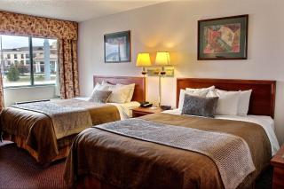 Comfort Inn & Suites Morton - Peoria - Morton - 3