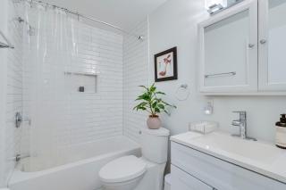 An Urban Oasis Retreat in DC - 5