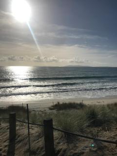 Whangapoua Paradise - Whangapoua - 2