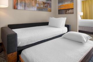 SpringHill Suites Austin Round Rock - Round Rock - 2