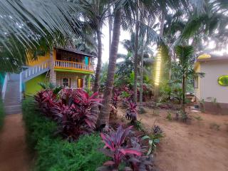 Areca Nest - Gokarna - 3