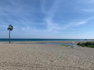 El Jardín de Sotogrande - Sotogrande - 3