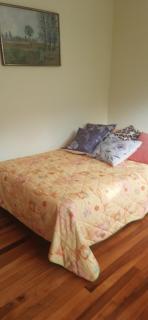 Casa para ferias manizales - Manizales - 3