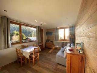 Studio 3 pers, Cernix : proche pistes, terrasse, parking - FR-1-733-160 - Crest-Voland - 0