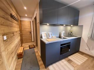 Studio 3 pers, Cernix : proche pistes, terrasse, parking - FR-1-733-160 - Crest-Voland - 9