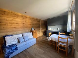 Studio 3 pers, Cernix : proche pistes, terrasse, parking - FR-1-733-160 - Crest-Voland - 6