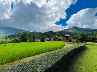 Angha forest view บ้านกลางนา - - 2