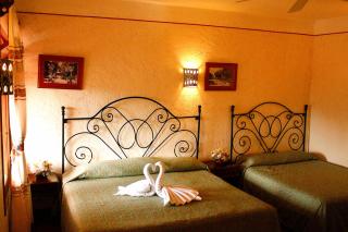 Hotel Maela - Città di Oaxaca - 3
