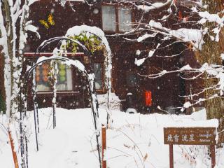 Snowfall Meteor 飛雪流星 - 4