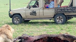 Maasai homestay camping - 6
