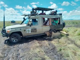 Maasai homestay camping - Sekenani - 9