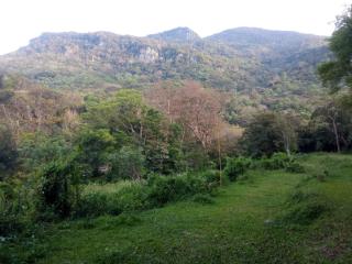 Riverston Green Parrot Villa - Matale - 5